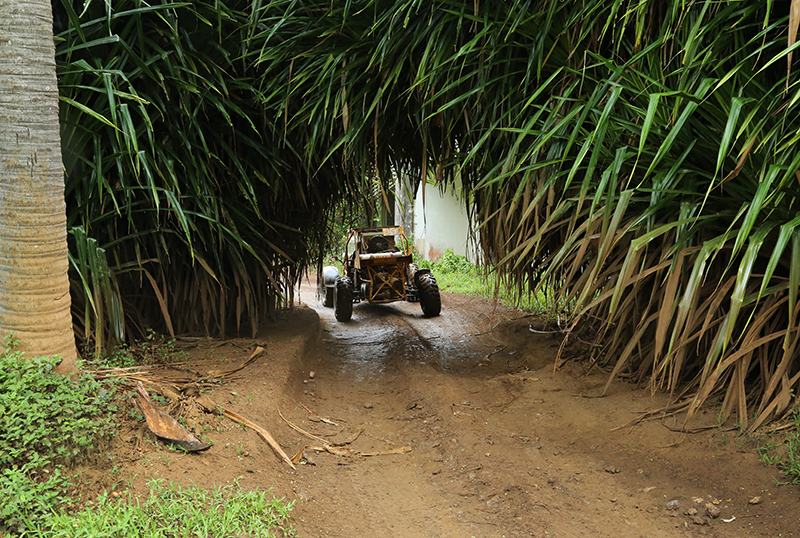 Mud Buggies : Rarotonga : Business News Photos : Richard Moore : Photographer